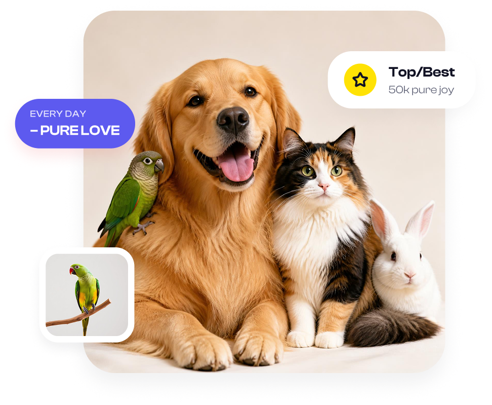 Dog, cat, parrot and rabbit together
