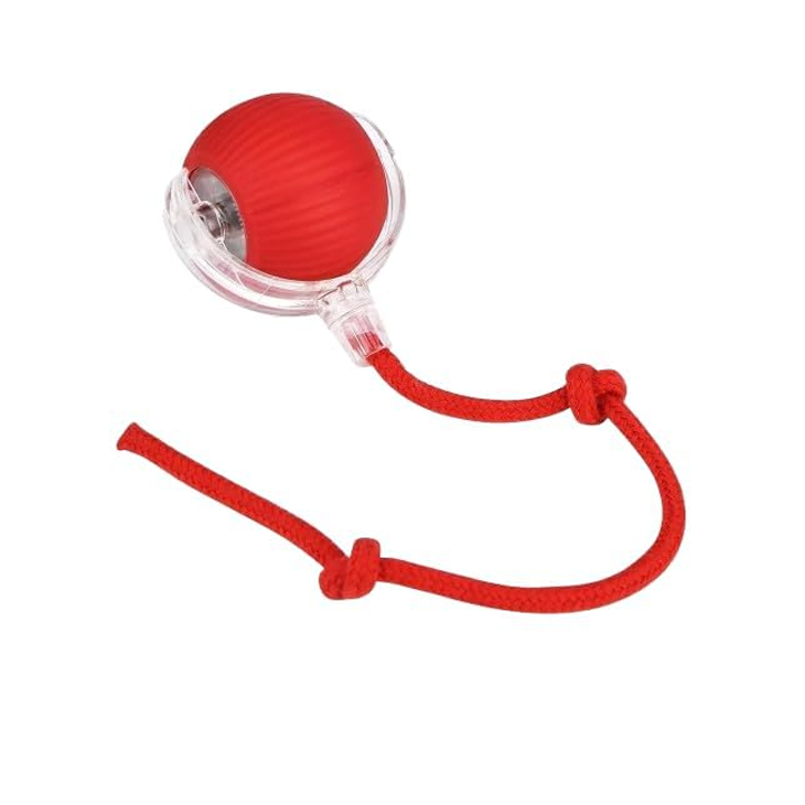 Motion Activated Mesh Ball