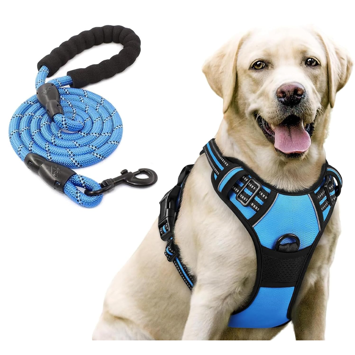 Midnight Blue Reflective Training Harness Set