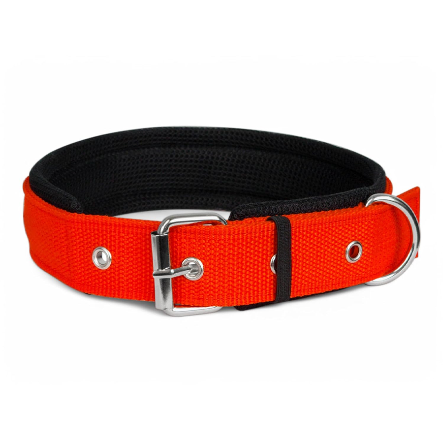 Crimson Padded Nylon Strength Collar