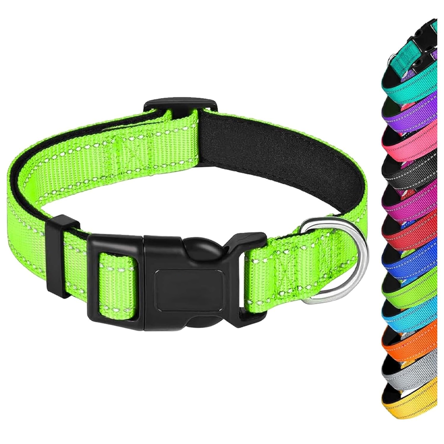 Emerald Neoprene Reflective Pup Collar