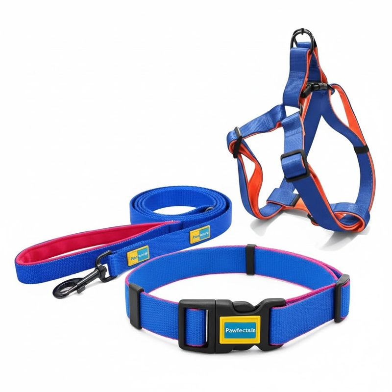 Pawtrail Secure Reflective Walking Gear
