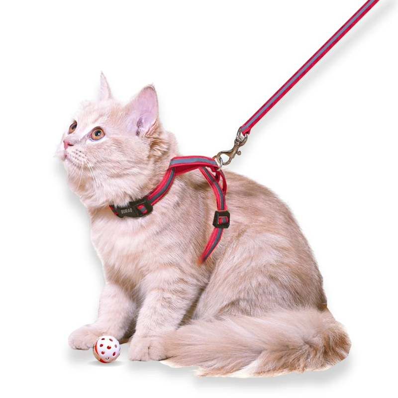 Reflective Escapeproof Cat Harness