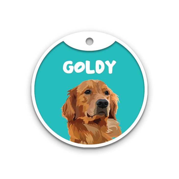 Teal Aluminium Waterproof Pet Identity Tag