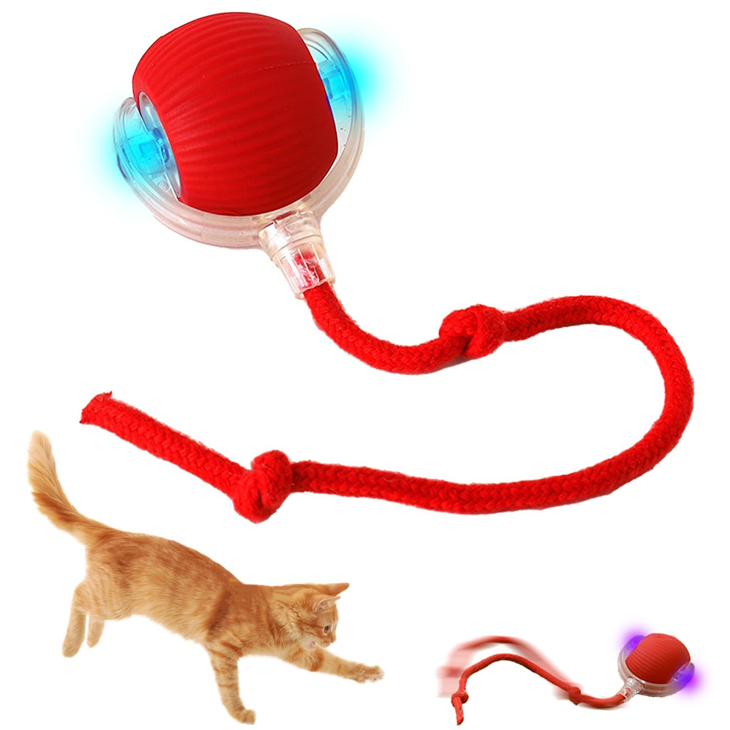Motion Activated Mesh Ball