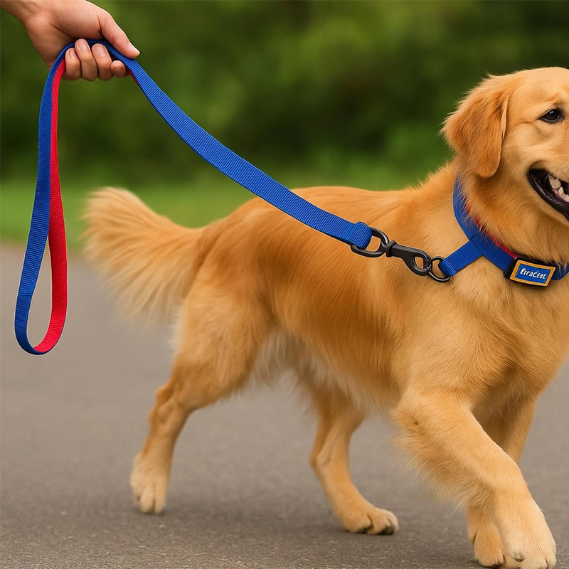 Pawtrail Secure Reflective Walking Gear