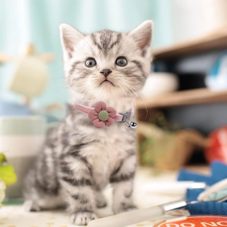 Blush Crochet Flower Plush Cat Collar