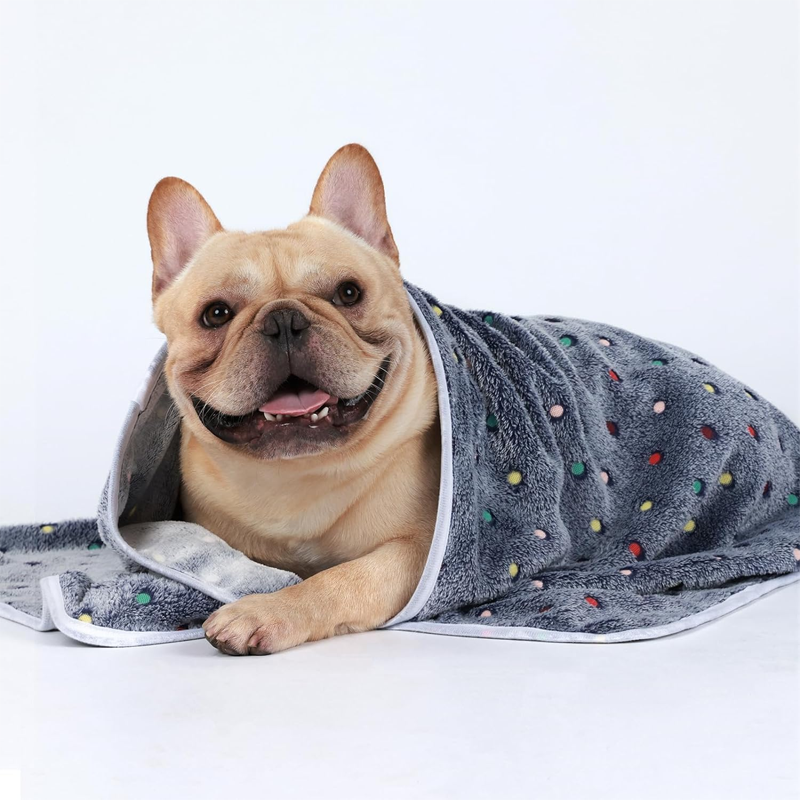 Blue Velvet Floral Pet Throw Blanket
