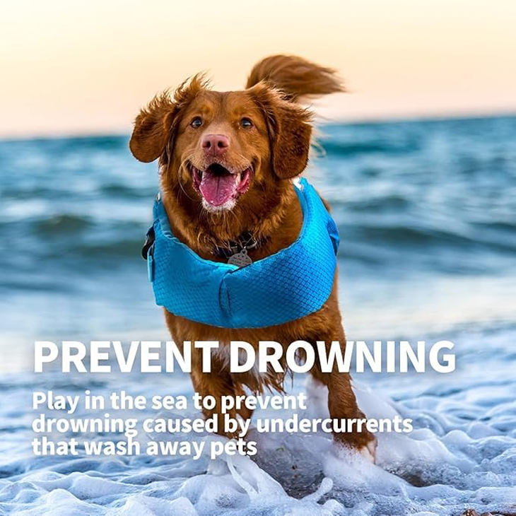 Lightweight Blue Reflective Dog Safety Jacket