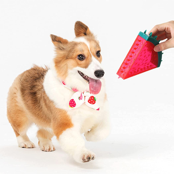Interactive Fruit Design TPR Toy