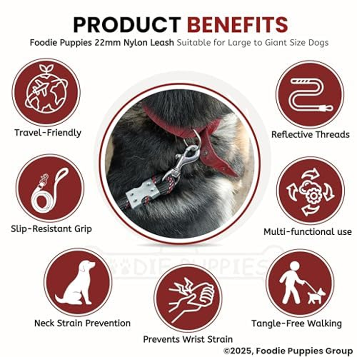 Adventure Ready Nylon Training Rope Leash