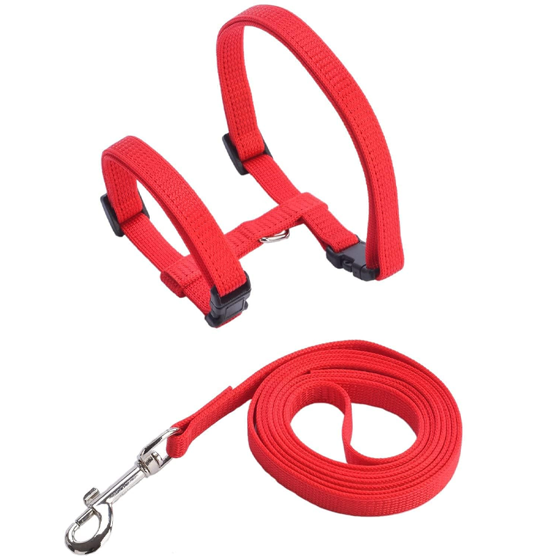 Crimson Cozy Escapeproof Catwear Set