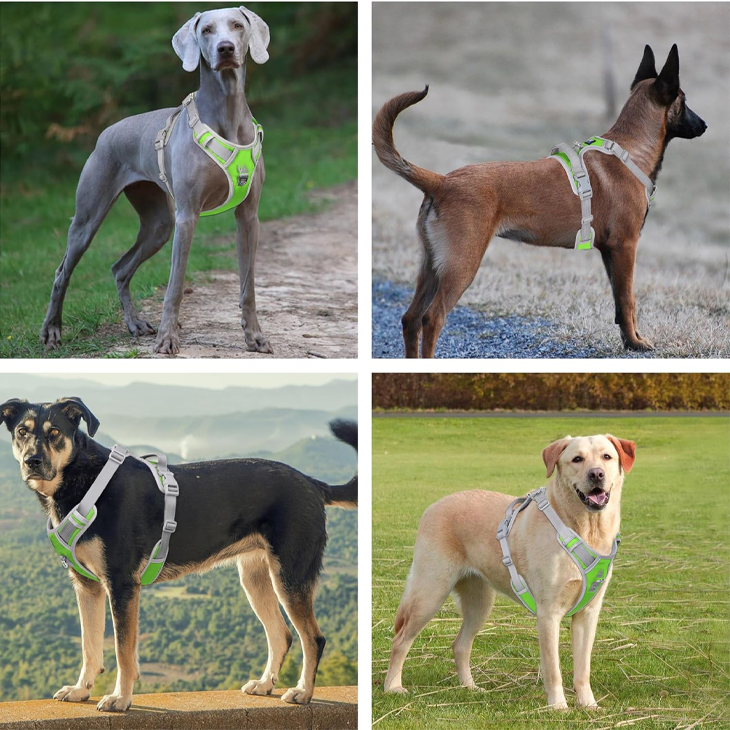 Evergreen Reflective Control Vest Harness