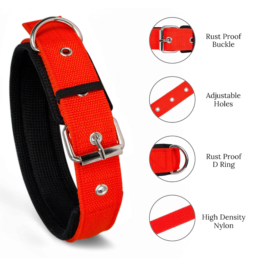 Crimson Padded Nylon Strength Collar