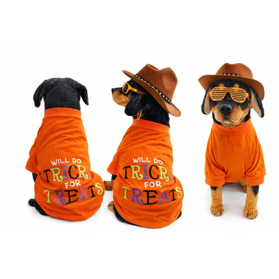 Trick Treat Halloween Orange Dog Tee