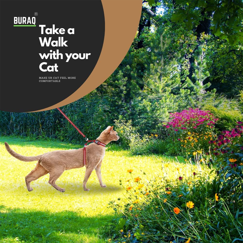 Reflective Escapeproof Cat Harness