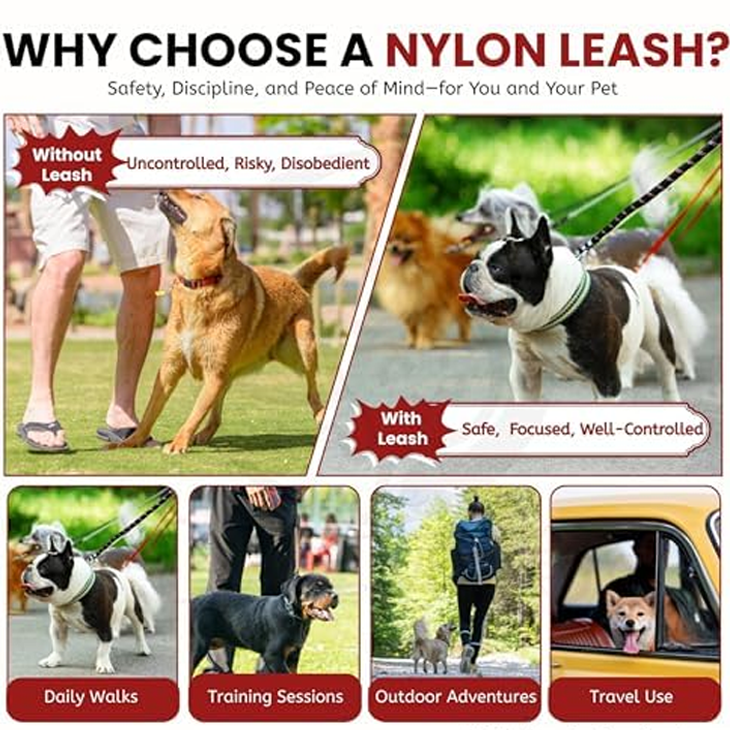 Adventure Ready Nylon Training Rope Leash