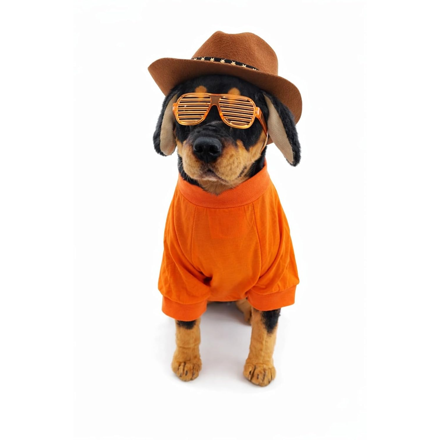 Trick Treat Halloween Orange Dog Tee
