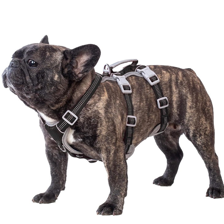 Shadow Guard Reflective Escapeproof Dog Harness